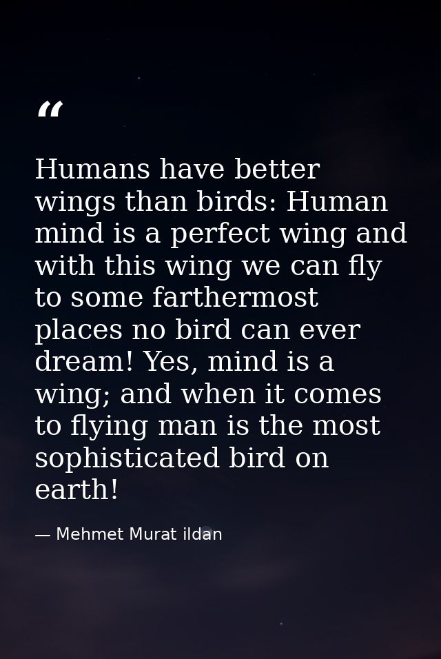 Humans have better wings than birds: Human mind is a perfect wing and with this wing we can fly to some farthermost plac — Mehmet Murat ildan