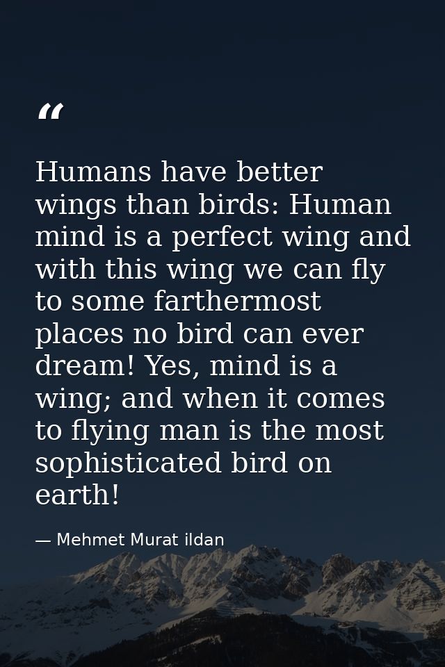 Humans have better wings than birds: Human mind is a perfect wing and with this wing we can fly to some farthermost plac — Mehmet Murat ildan