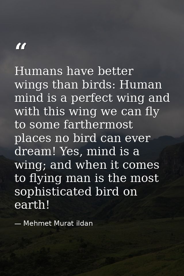 Humans have better wings than birds: Human mind is a perfect wing and with this wing we can fly to some farthermost plac — Mehmet Murat ildan