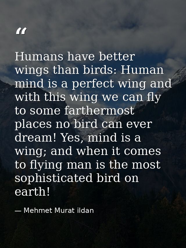 Humans have better wings than birds: Human mind is a perfect wing and with this wing we can fly to some farthermost plac — Mehmet Murat ildan