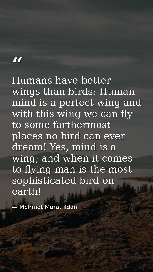 Humans have better wings than birds: Human mind is a perfect wing and with this wing we can fly to some farthermost plac — Mehmet Murat ildan