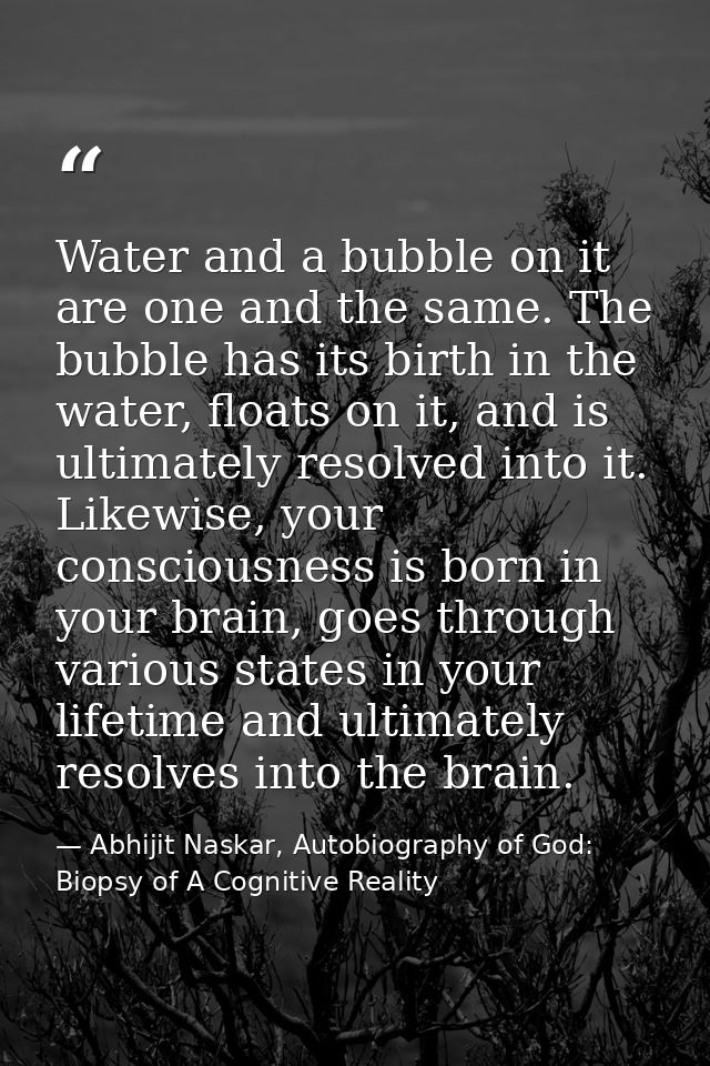 Water and a bubble on it are one and the same. The bubble has its birth in the water, floats on it, and is ultimately re — Abhijit Naskar, Autobiography of God: Biopsy of A Cognitive Reality