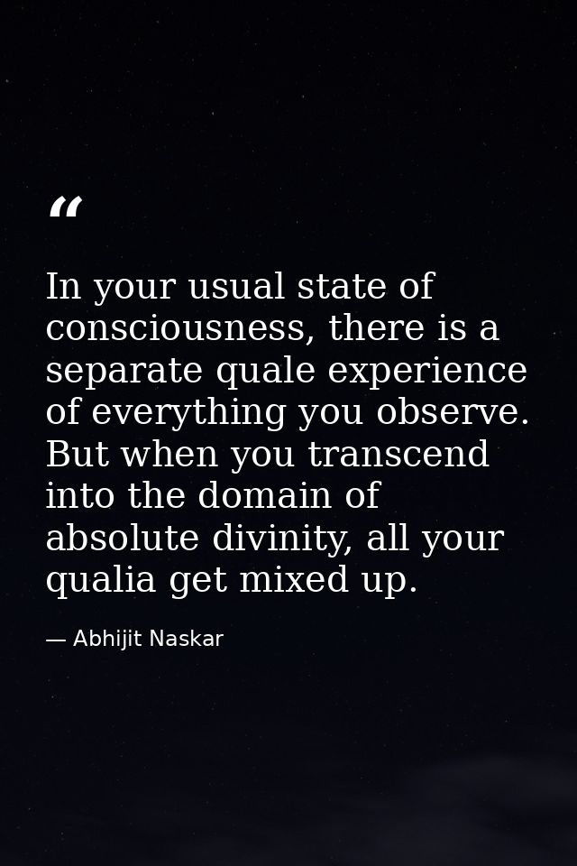 In your usual state of consciousness, there is a separate quale experience of everything you observe. But when you trans — Abhijit Naskar