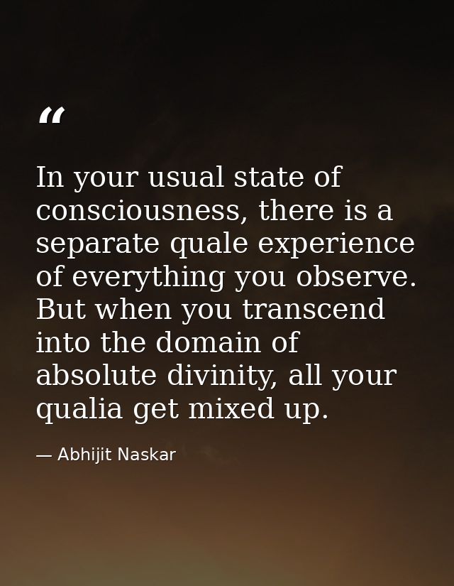 In your usual state of consciousness, there is a separate quale experience of everything you observe. But when you trans — Abhijit Naskar