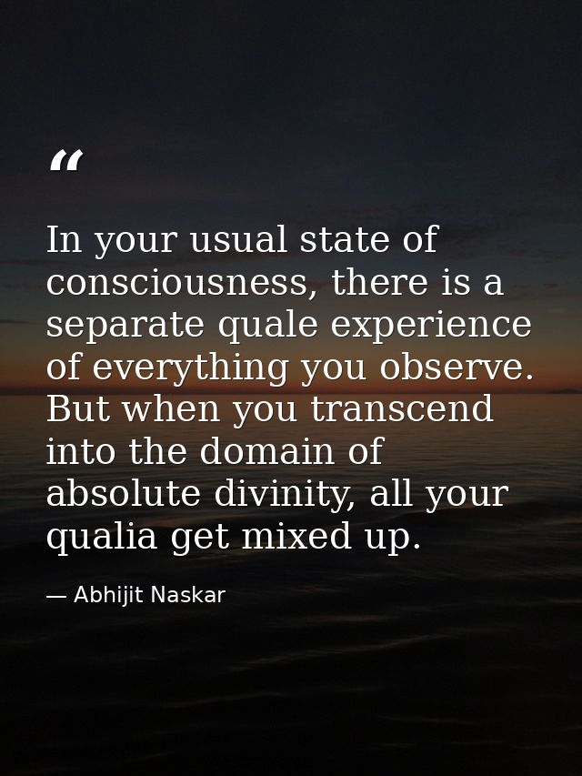 In your usual state of consciousness, there is a separate quale experience of everything you observe. But when you trans — Abhijit Naskar