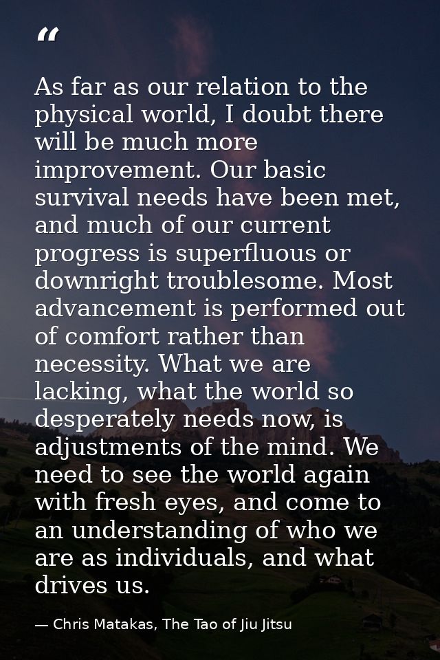 As far as our relation to the physical world, I doubt there will be much more improvement. Our basic survival needs have — Chris Matakas, The Tao of Jiu Jitsu
