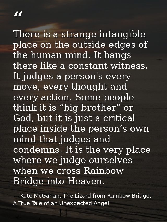 There is a strange intangible place on the outside edges of the human mind. It hangs there like a constant witness. It j — Kate McGahan, The Lizard from Rainbow Bridge: A True Tale of an Unexpected Angel