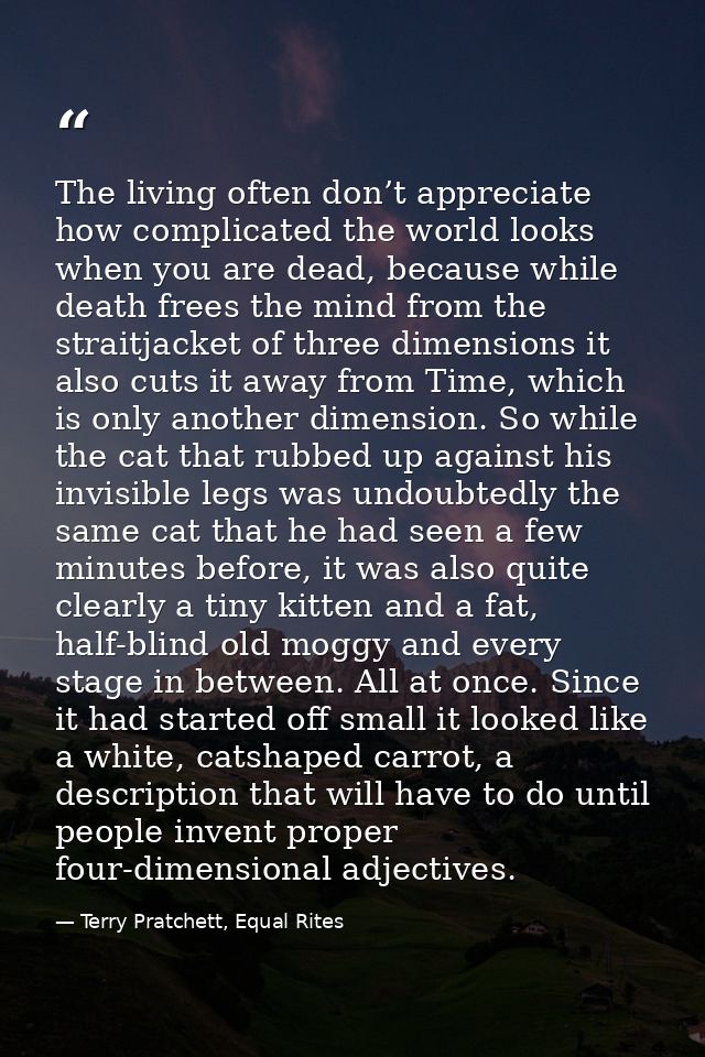 The living often don’t appreciate how complicated the world looks when you are dead, because while death frees the mind  — Terry Pratchett, Equal Rites