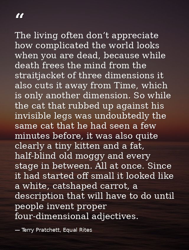 The living often don’t appreciate how complicated the world looks when you are dead, because while death frees the mind  — Terry Pratchett, Equal Rites