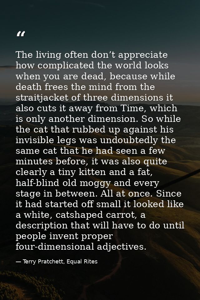 The living often don’t appreciate how complicated the world looks when you are dead, because while death frees the mind  — Terry Pratchett, Equal Rites
