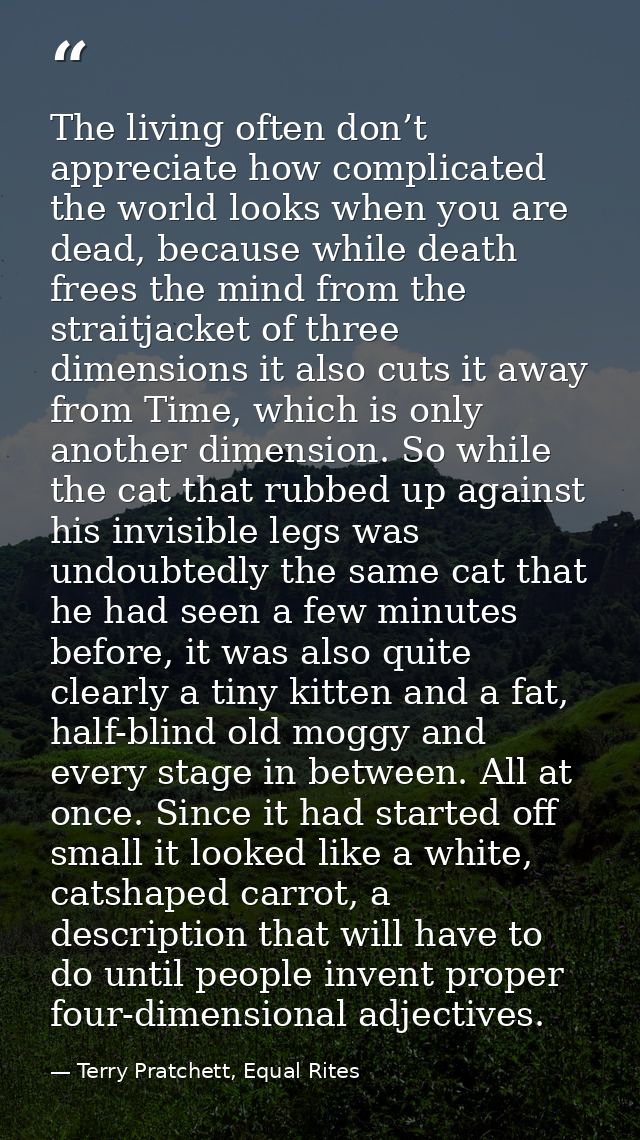 The living often don’t appreciate how complicated the world looks when you are dead, because while death frees the mind  — Terry Pratchett, Equal Rites