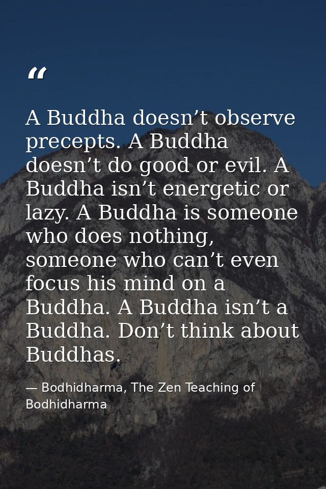 A Buddha doesn’t observe precepts. A Buddha doesn’t do good or evil. A Buddha isn’t energetic or lazy. A Buddha is someo — Bodhidharma, The Zen Teaching of Bodhidharma