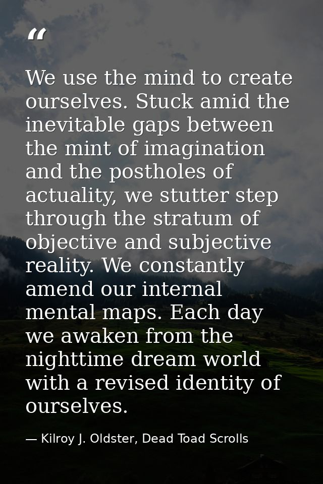 We use the mind to create ourselves. Stuck amid the inevitable gaps between the mint of imagination and the postholes of — Kilroy J. Oldster, Dead Toad Scrolls