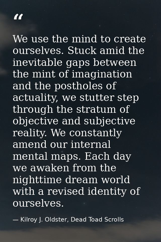 We use the mind to create ourselves. Stuck amid the inevitable gaps between the mint of imagination and the postholes of — Kilroy J. Oldster, Dead Toad Scrolls