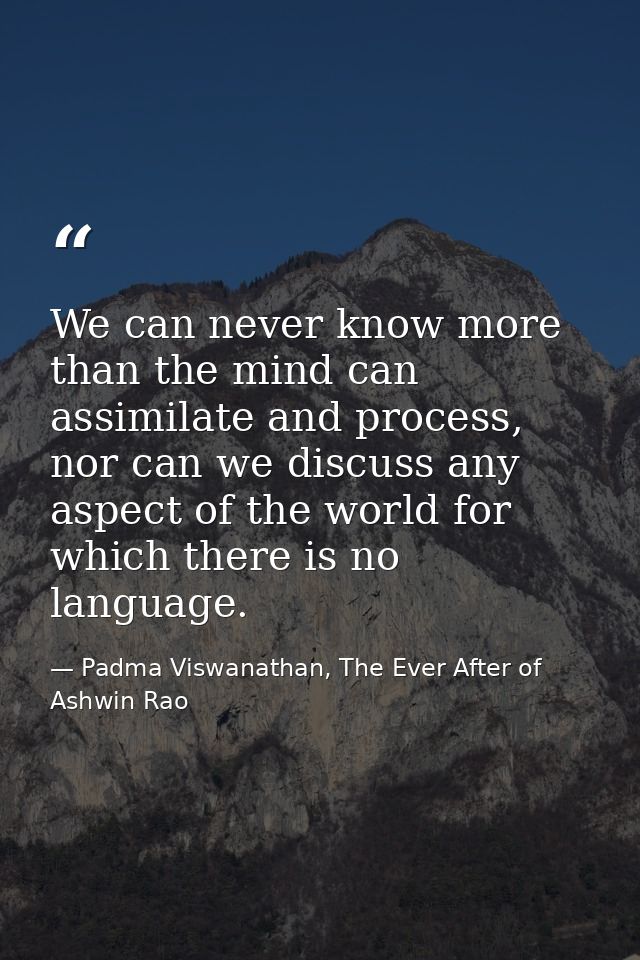 We can never know more than the mind can assimilate and process, nor can we discuss any aspect of the world for which th — Padma Viswanathan, The Ever After of Ashwin Rao