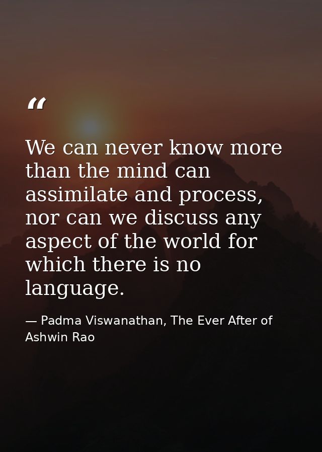 We can never know more than the mind can assimilate and process, nor can we discuss any aspect of the world for which th — Padma Viswanathan, The Ever After of Ashwin Rao