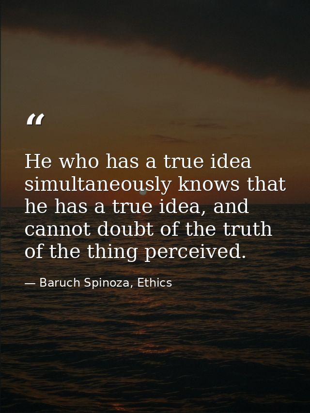 He who has a true idea simultaneously knows that he has a true idea, and cannot doubt of the truth of the thing perceive — Baruch Spinoza, Ethics