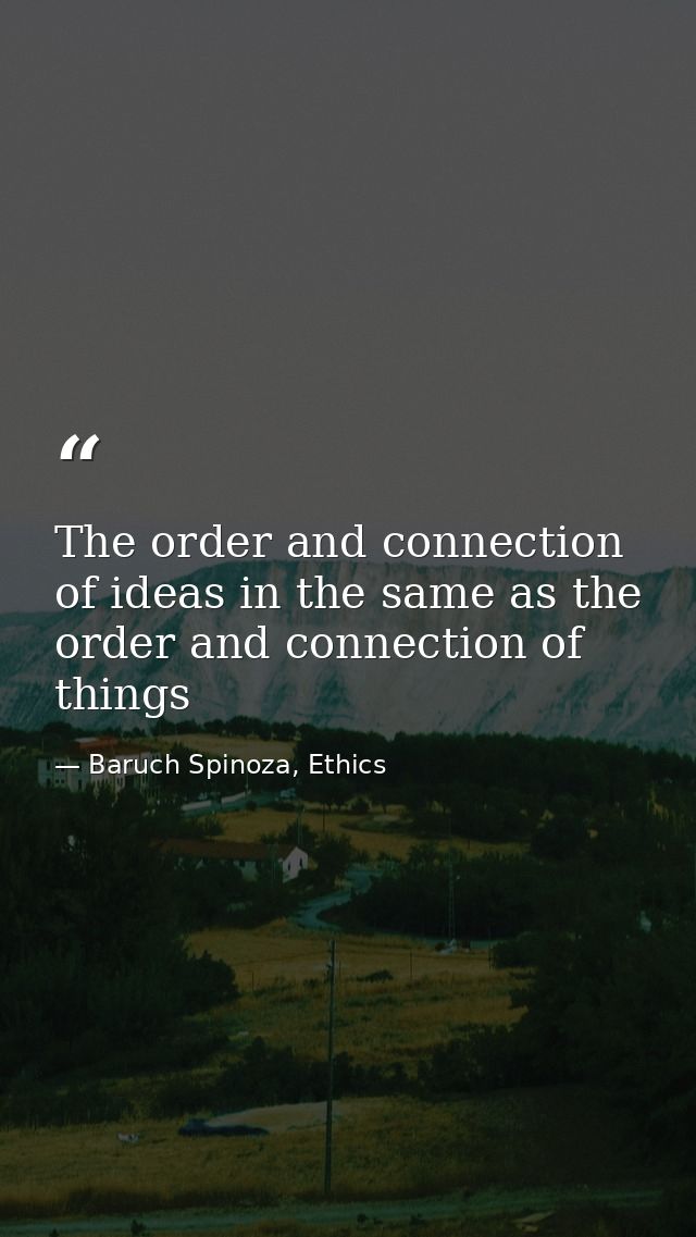 The order and connection of ideas in the same as the order and connection of things — Baruch Spinoza, Ethics