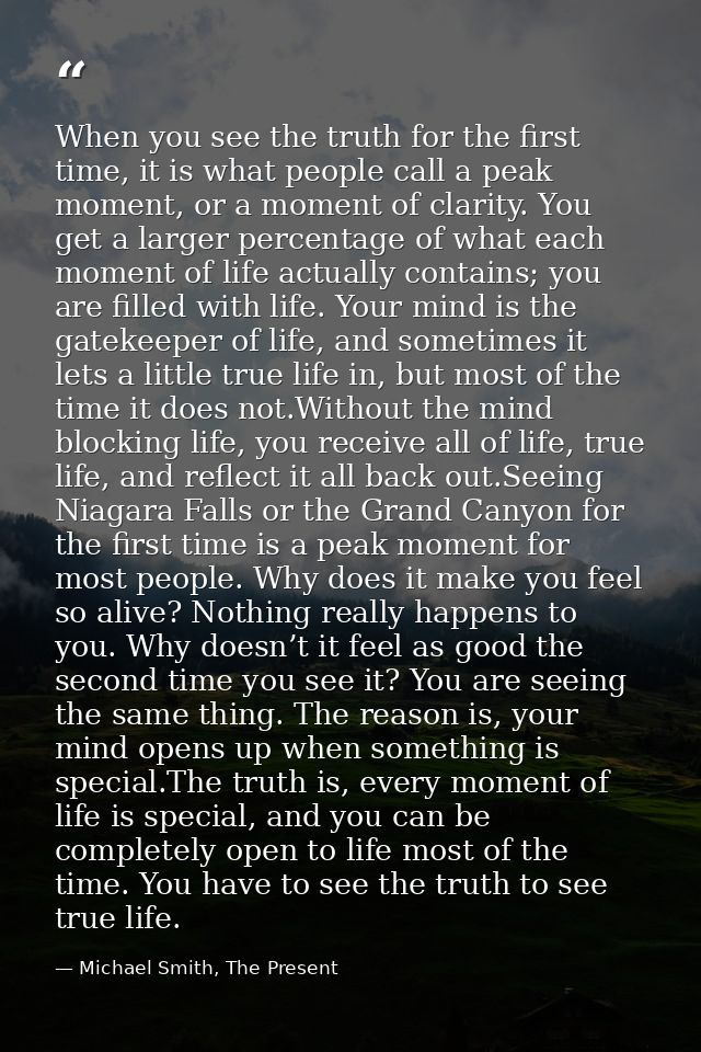 When you see the truth for the first time, it is what people call a peak moment, or a moment of clarity. You get a large — Michael Smith, The Present