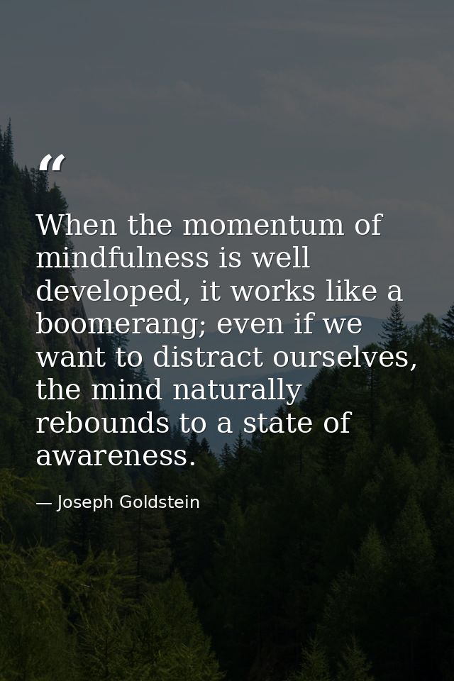 When the momentum of mindfulness is well developed, it works like a boomerang; even if we want to distract ourselves, th — Joseph Goldstein