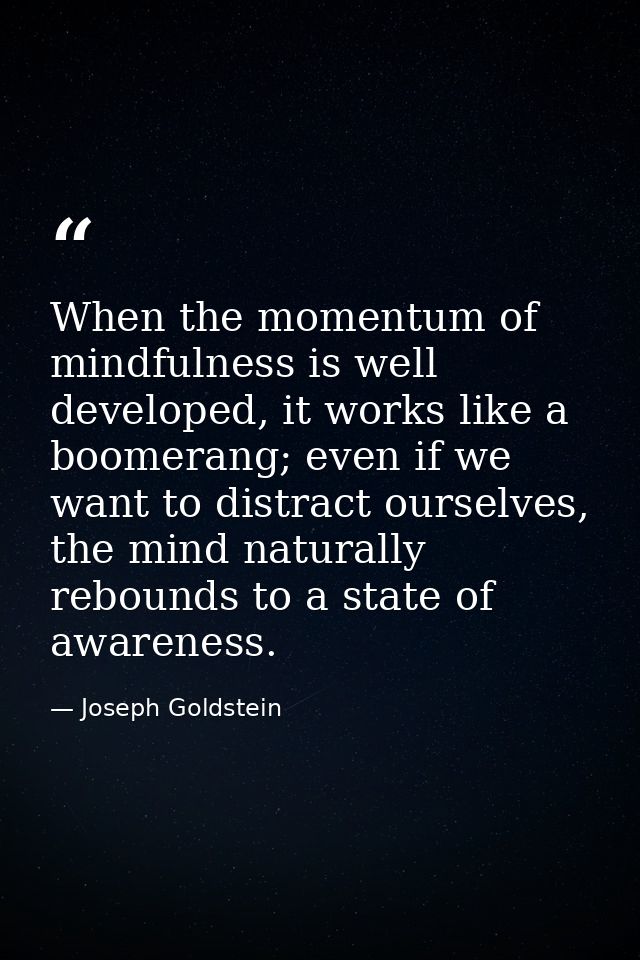 When the momentum of mindfulness is well developed, it works like a boomerang; even if we want to distract ourselves, th — Joseph Goldstein