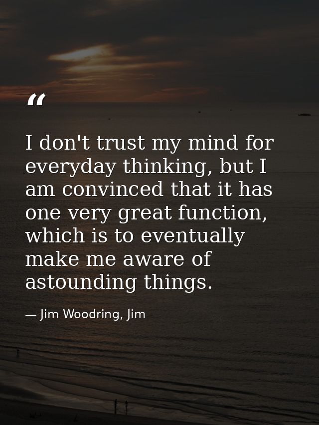 I don't trust my mind for everyday thinking, but I am convinced that it has one very great function, which is to eventua — Jim Woodring, Jim