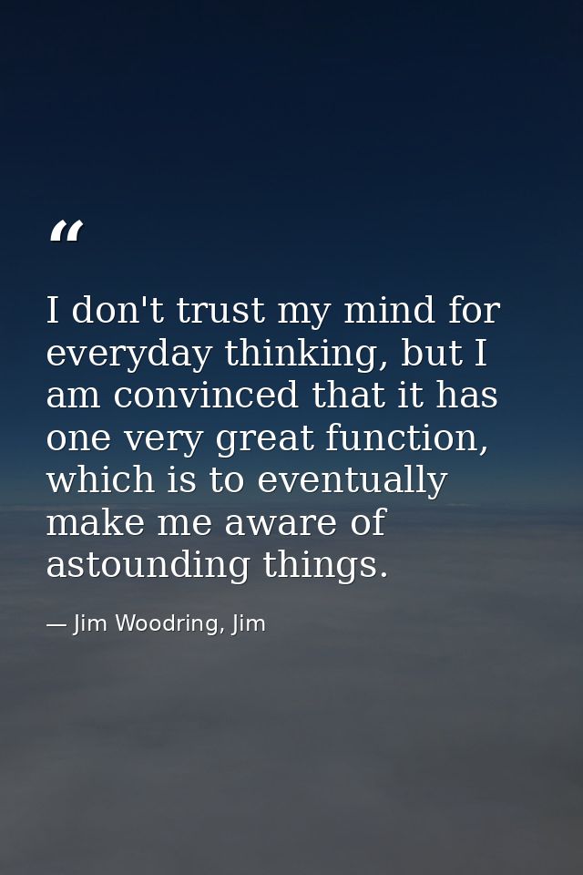 I don't trust my mind for everyday thinking, but I am convinced that it has one very great function, which is to eventua — Jim Woodring, Jim
