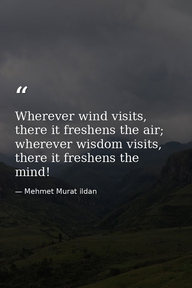 Wherever wind visits, there it freshens the air; wherever wisdom visits, there it freshens the mind! — Mehmet Murat ildan