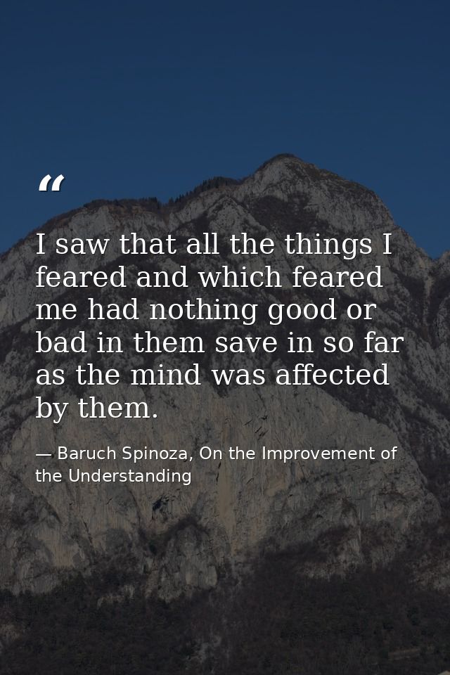 I saw that all the things I feared and which feared me had nothing good or bad in them save in so far as the mind was af — Baruch Spinoza, On the Improvement of the Understanding