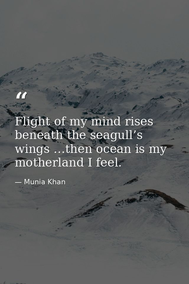 Flight of my mind rises beneath the seagull’s wings …then ocean is my motherland I feel. — Munia Khan