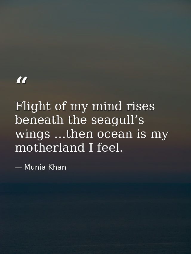 Flight of my mind rises beneath the seagull’s wings …then ocean is my motherland I feel. — Munia Khan