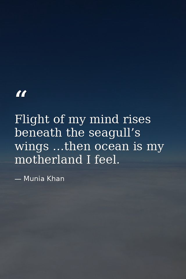 Flight of my mind rises beneath the seagull’s wings …then ocean is my motherland I feel. — Munia Khan