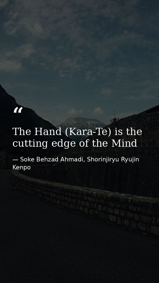 The Hand (Kara-Te) is the cutting edge of the Mind — Soke Behzad Ahmadi, Shorinjiryu Ryujin Kenpo