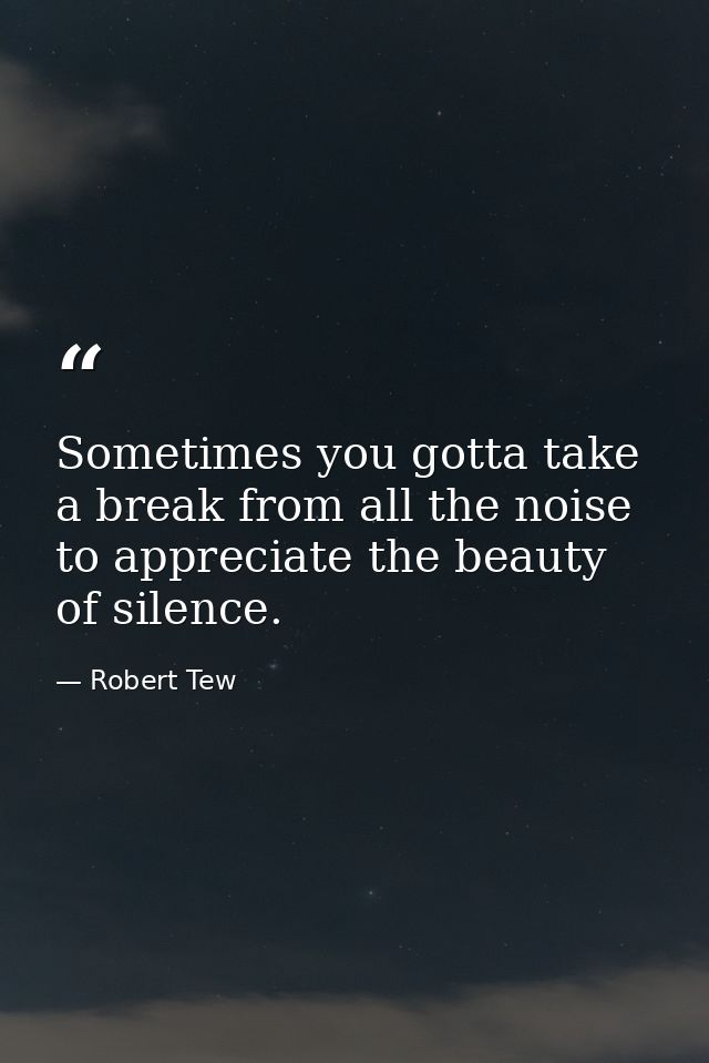 Sometimes you gotta take a break from all the noise to appreciate the beauty of silence. — Robert Tew