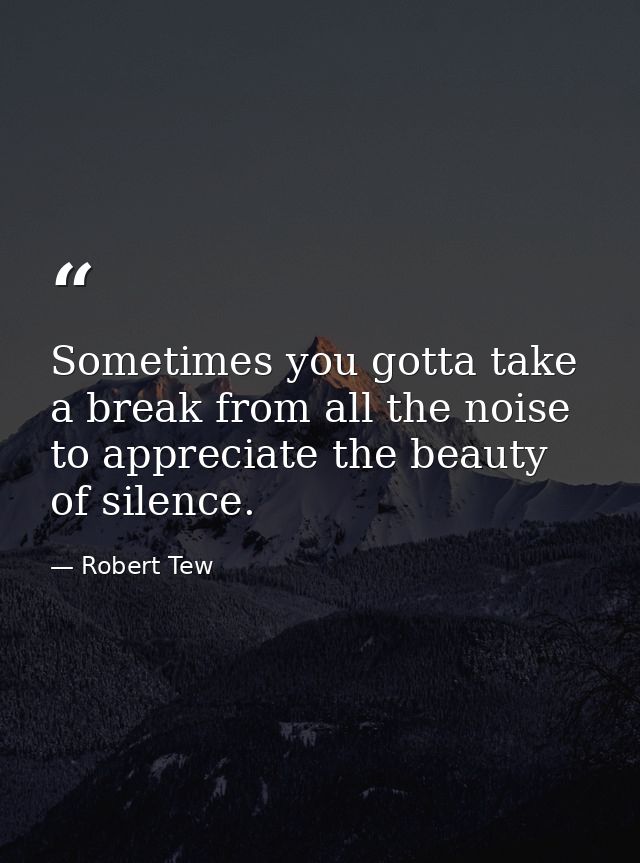 Sometimes you gotta take a break from all the noise to appreciate the beauty of silence. — Robert Tew
