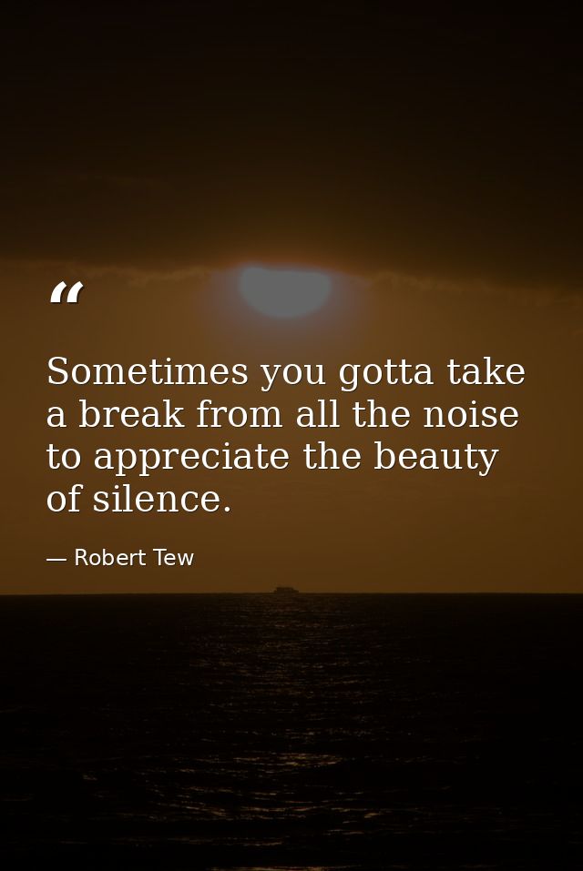 Sometimes you gotta take a break from all the noise to appreciate the beauty of silence. — Robert Tew