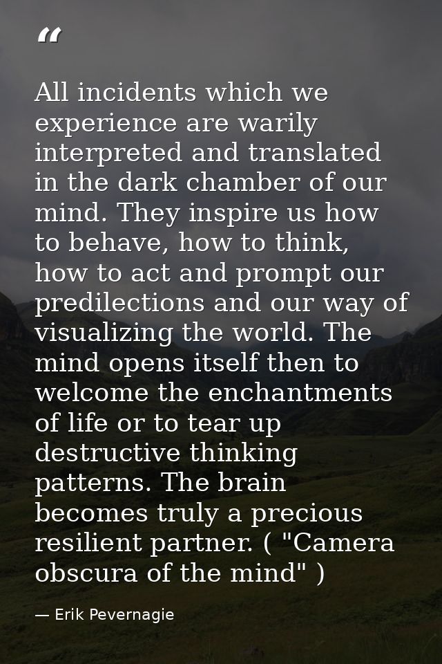 All incidents which we experience are warily interpreted and translated in the dark chamber of our mind. They inspire us — Erik Pevernagie