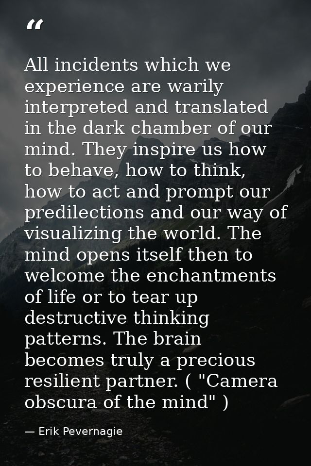 All incidents which we experience are warily interpreted and translated in the dark chamber of our mind. They inspire us — Erik Pevernagie
