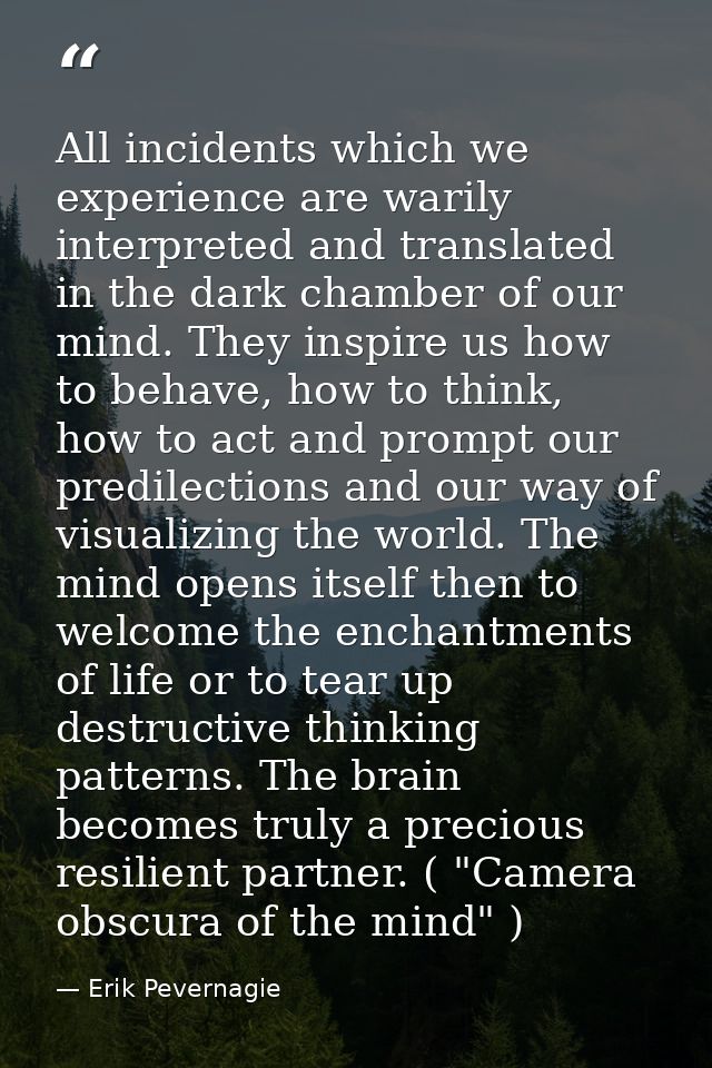 All incidents which we experience are warily interpreted and translated in the dark chamber of our mind. They inspire us — Erik Pevernagie