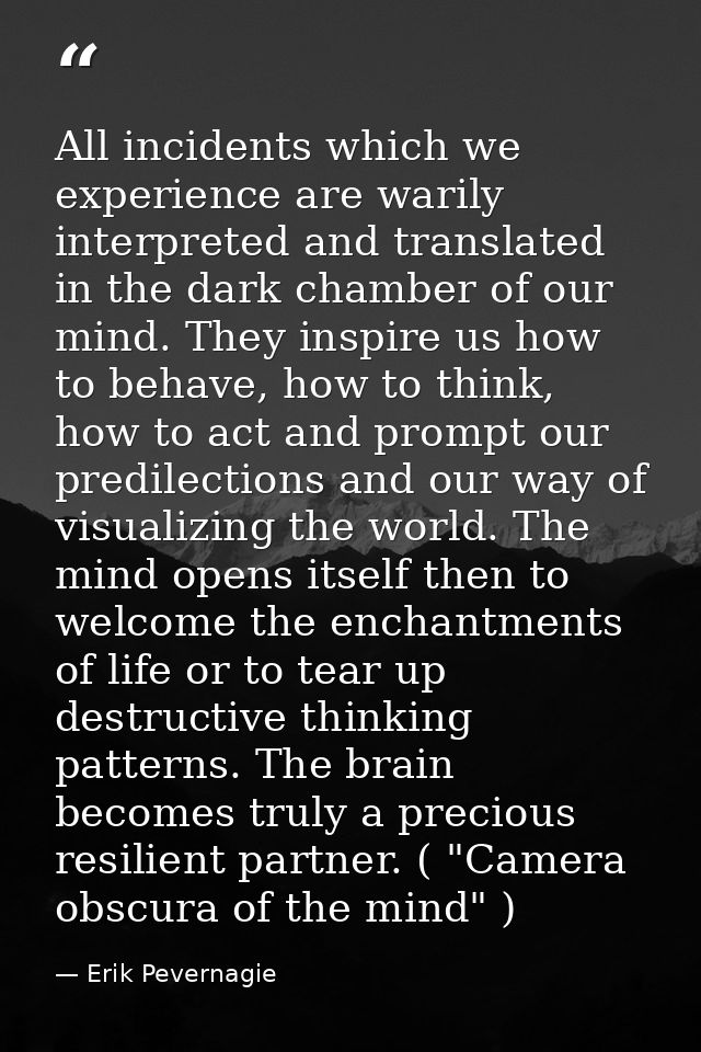 All incidents which we experience are warily interpreted and translated in the dark chamber of our mind. They inspire us — Erik Pevernagie
