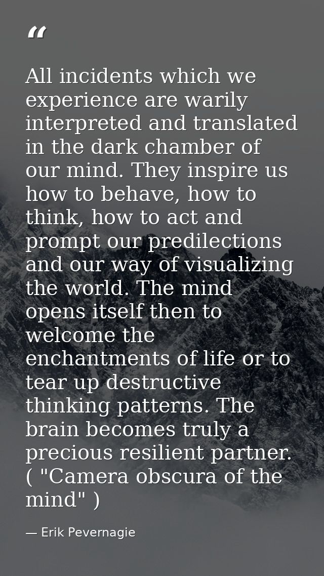 All incidents which we experience are warily interpreted and translated in the dark chamber of our mind. They inspire us — Erik Pevernagie