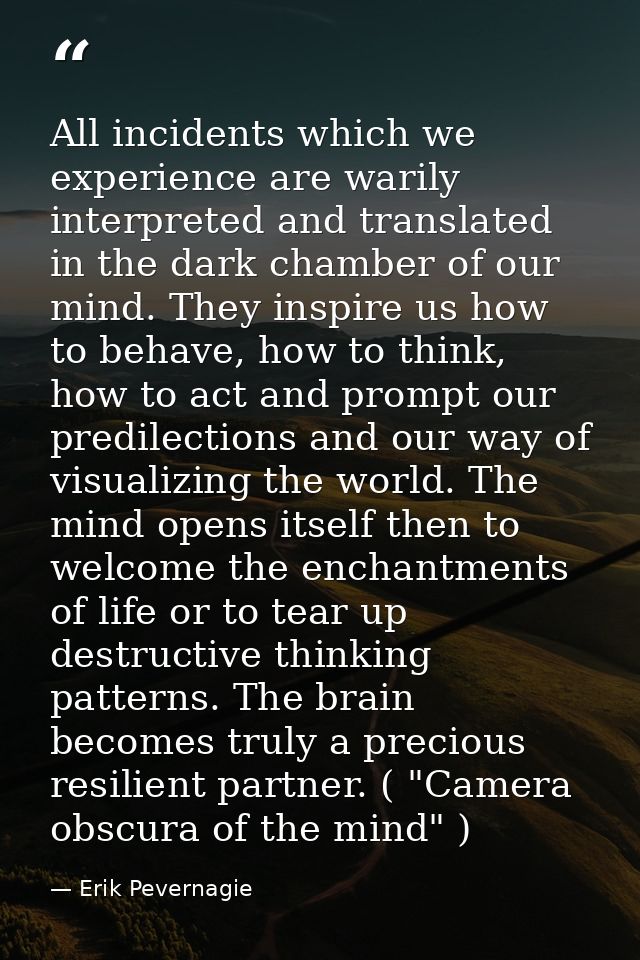 All incidents which we experience are warily interpreted and translated in the dark chamber of our mind. They inspire us — Erik Pevernagie