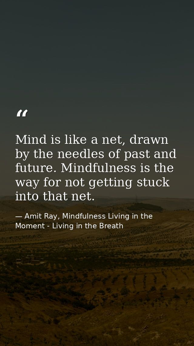 Mind is like a net, drawn by the needles of past and future. Mindfulness is the way for not getting stuck into that net. — Amit Ray, Mindfulness Living in the Moment - Living in the Breath
