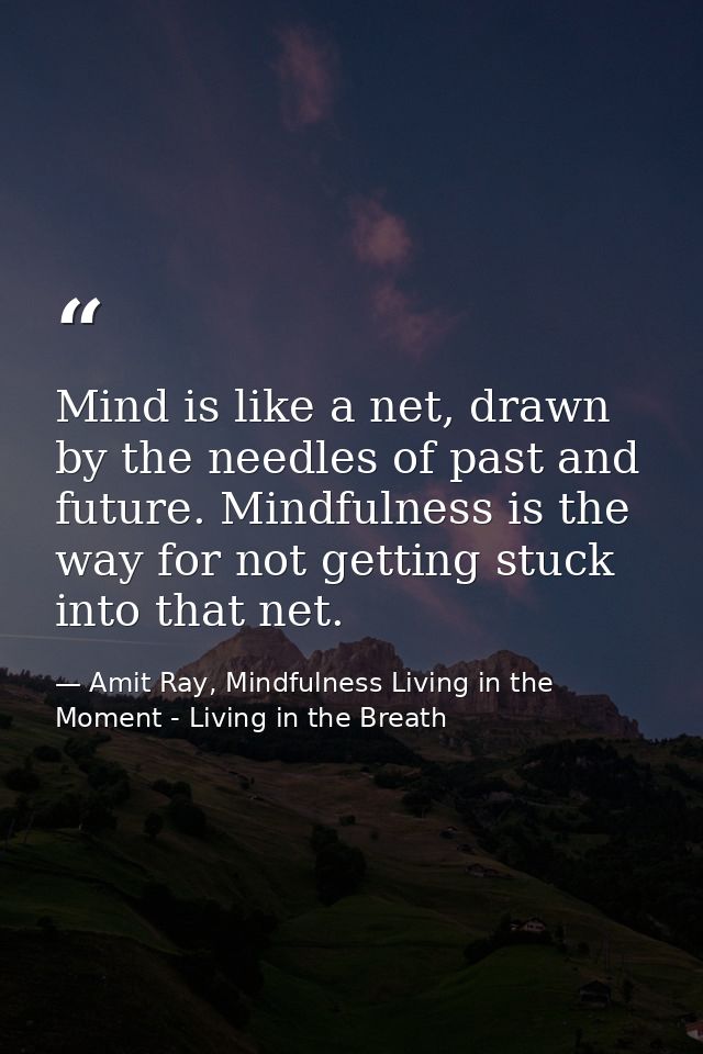Mind is like a net, drawn by the needles of past and future. Mindfulness is the way for not getting stuck into that net. — Amit Ray, Mindfulness Living in the Moment - Living in the Breath