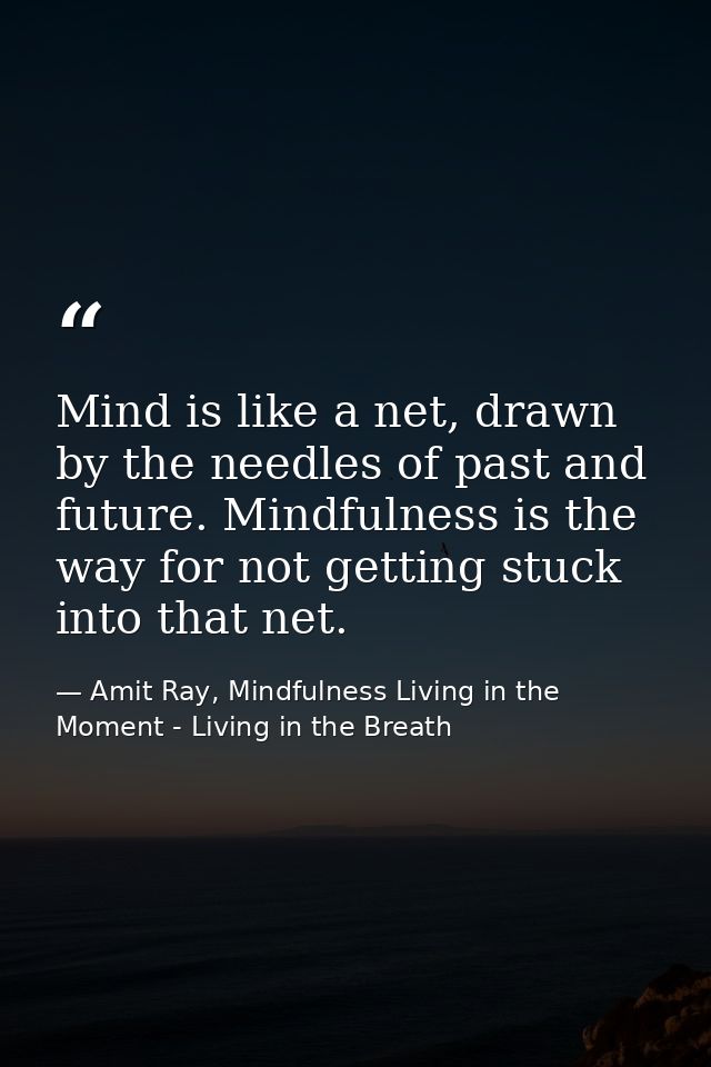 Mind is like a net, drawn by the needles of past and future. Mindfulness is the way for not getting stuck into that net. — Amit Ray, Mindfulness Living in the Moment - Living in the Breath