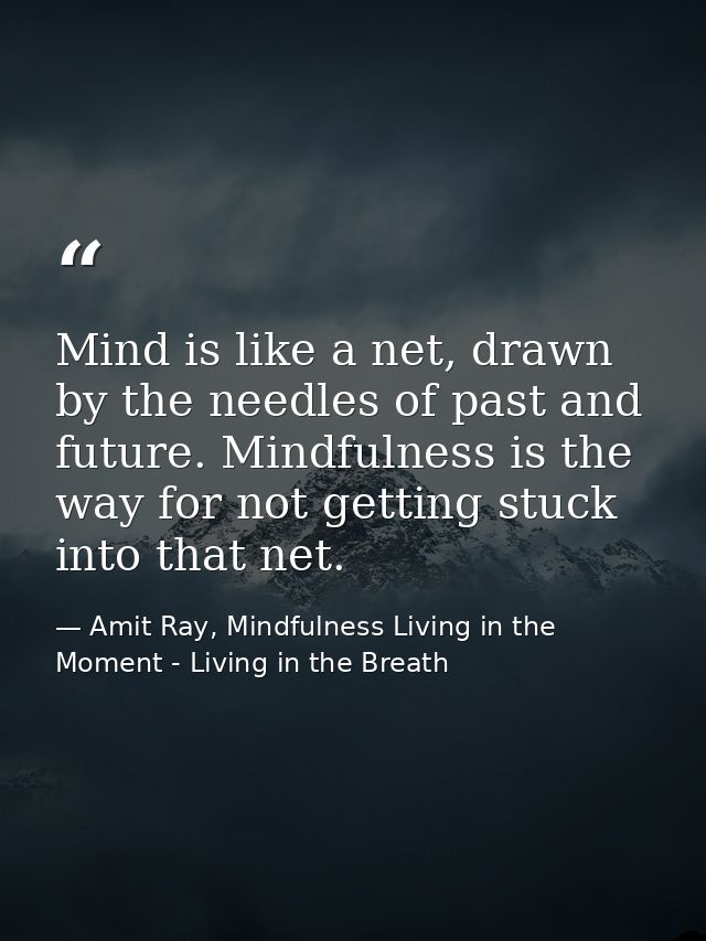 Mind is like a net, drawn by the needles of past and future. Mindfulness is the way for not getting stuck into that net. — Amit Ray, Mindfulness Living in the Moment - Living in the Breath