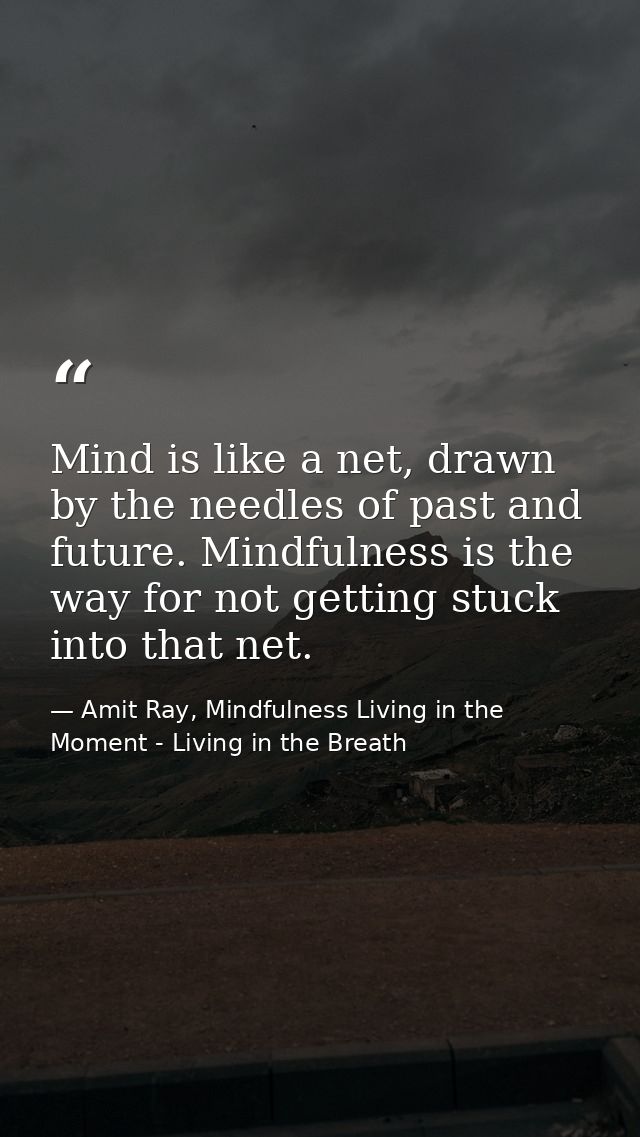 Mind is like a net, drawn by the needles of past and future. Mindfulness is the way for not getting stuck into that net. — Amit Ray, Mindfulness Living in the Moment - Living in the Breath