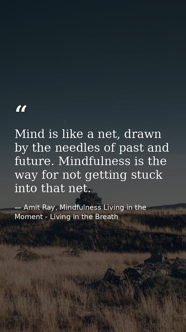 Mind is like a net, drawn by the needles of past and future. Mindfulness is the way for not getting stuck into that net. — Amit Ray, Mindfulness Living in the Moment - Living in the Breath
