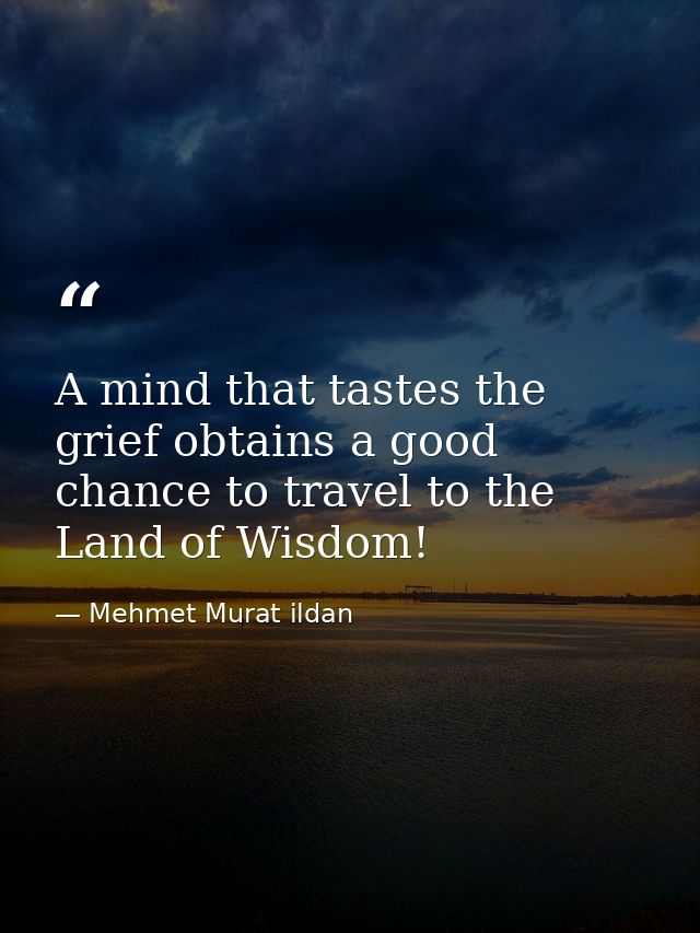 A mind that tastes the grief obtains a good chance to travel to the Land of Wisdom! — Mehmet Murat ildan
