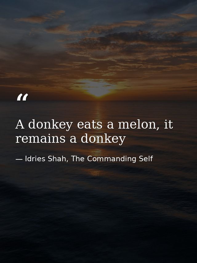 A donkey eats a melon, it remains a donkey — Idries Shah, The Commanding Self